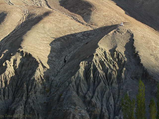 Ladakh_temisgam