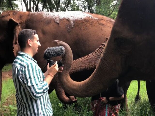 elefánt-és-a-kamera